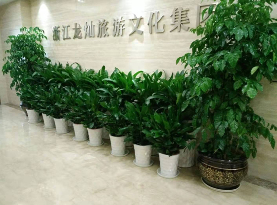 浙江龍燦旅游文化集團(tuán)